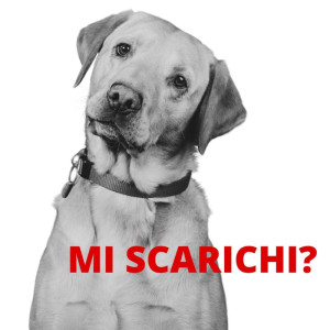 Dichiarazione dei redditi e spese veterinarie detraibili