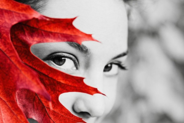 Occasioni d'autunno: il Modello Redditi!