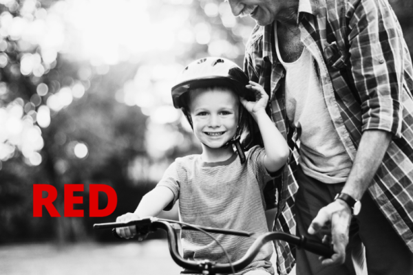 Modello RED: non è un secondo 730, ecco cosa va comunicato all'INPS