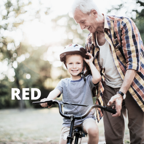 Campagna RED 2025: è tempo di dichiarare i redditi all’INPS