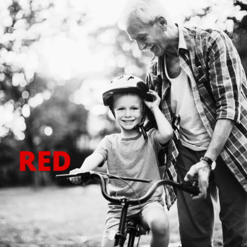 Modello RED: non è un secondo 730, ecco cosa va comunicato all'INPS