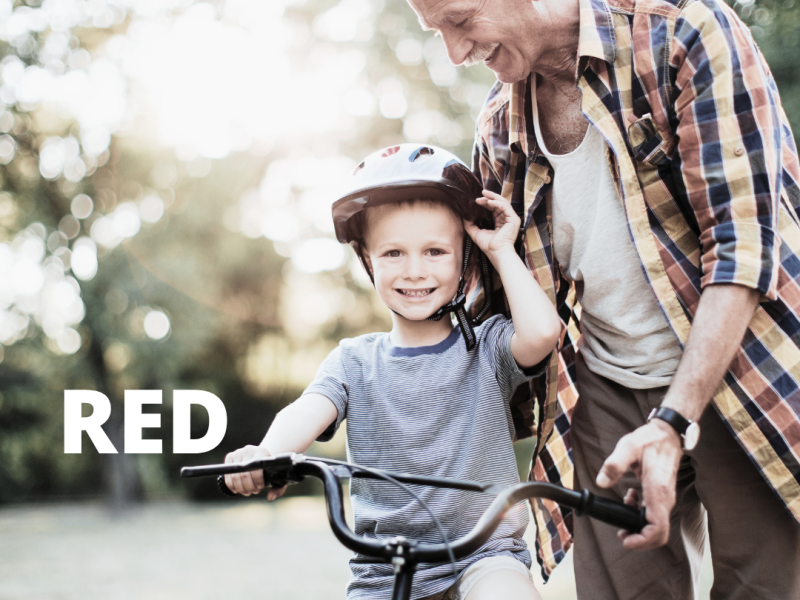 Un servizio su misura per i pensionati: assistenza completa per la compilazione e l’invio del Modello RED all’INPS.